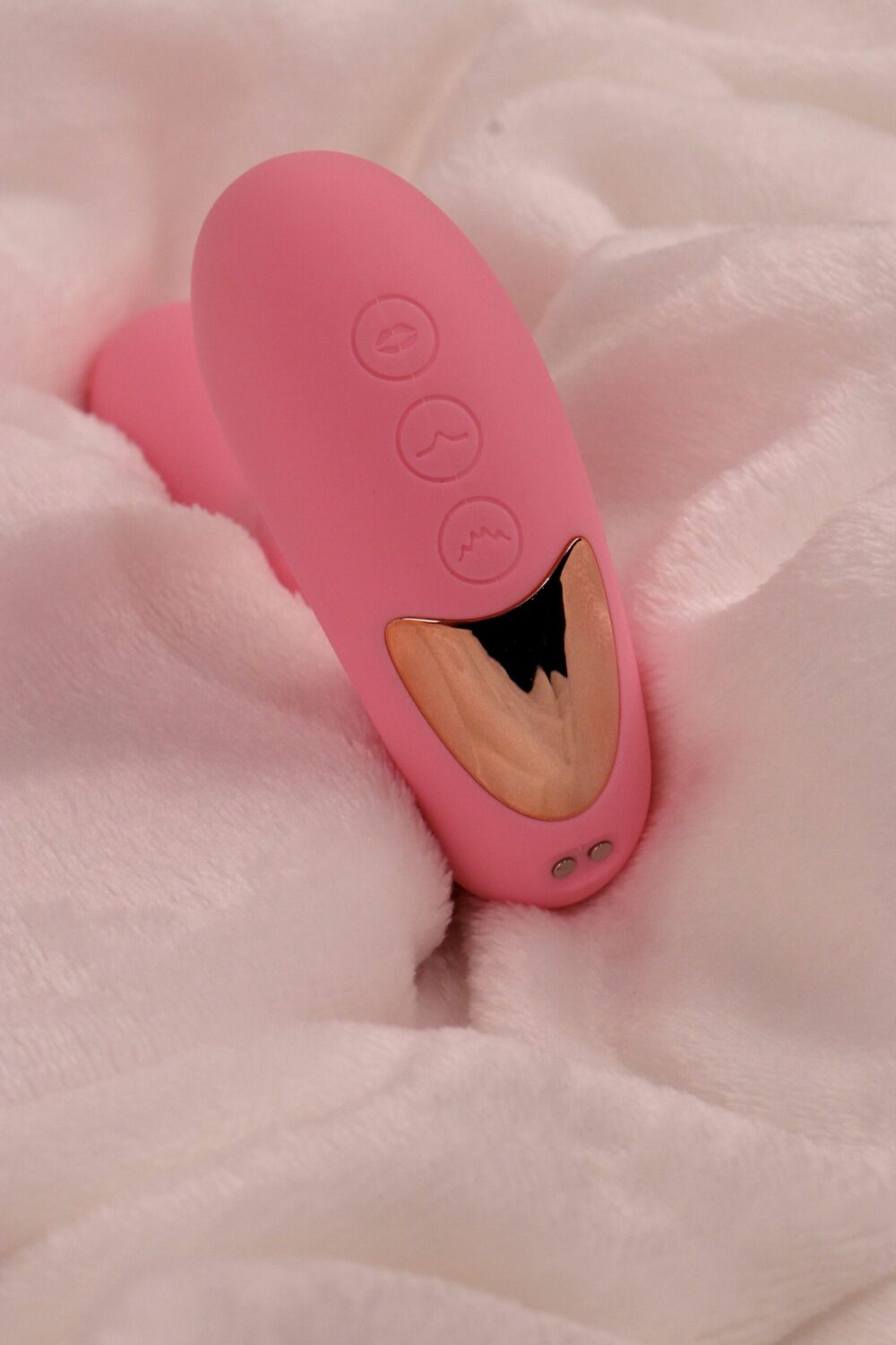 Shimba - Imagem 3